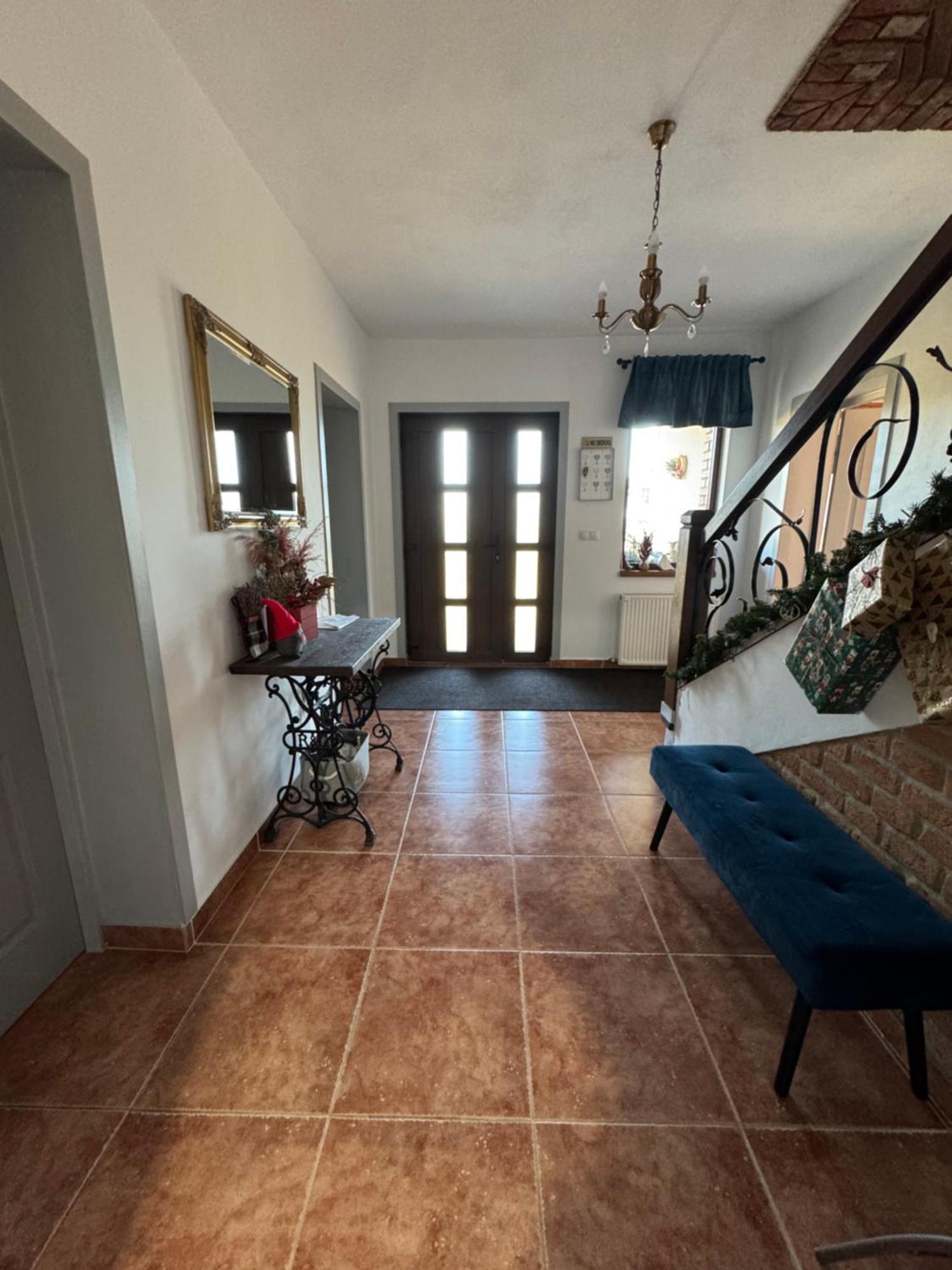 Chalet Bora Viseu de Jos Dış mekan fotoğraf