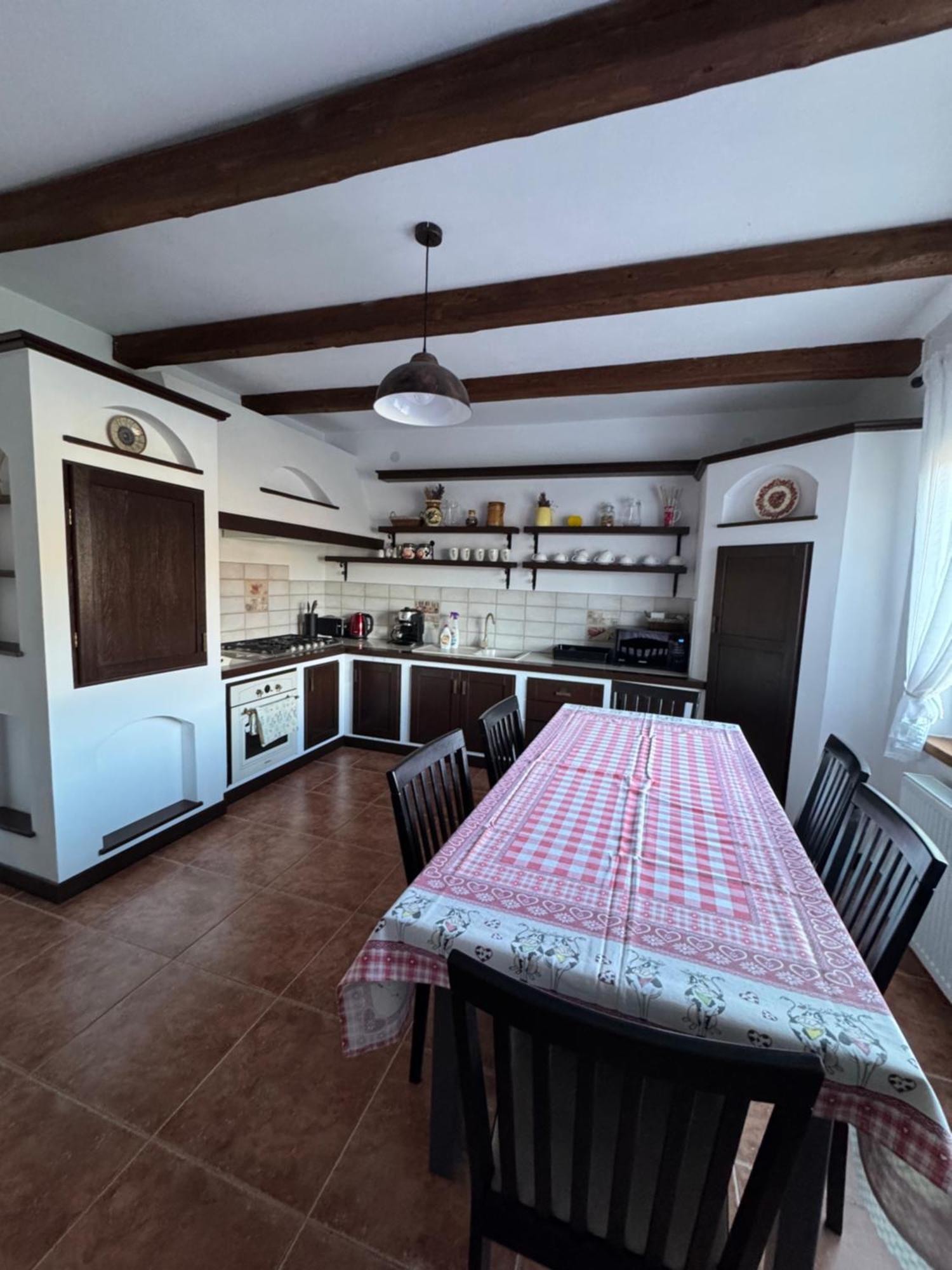 Chalet Bora Viseu de Jos Dış mekan fotoğraf