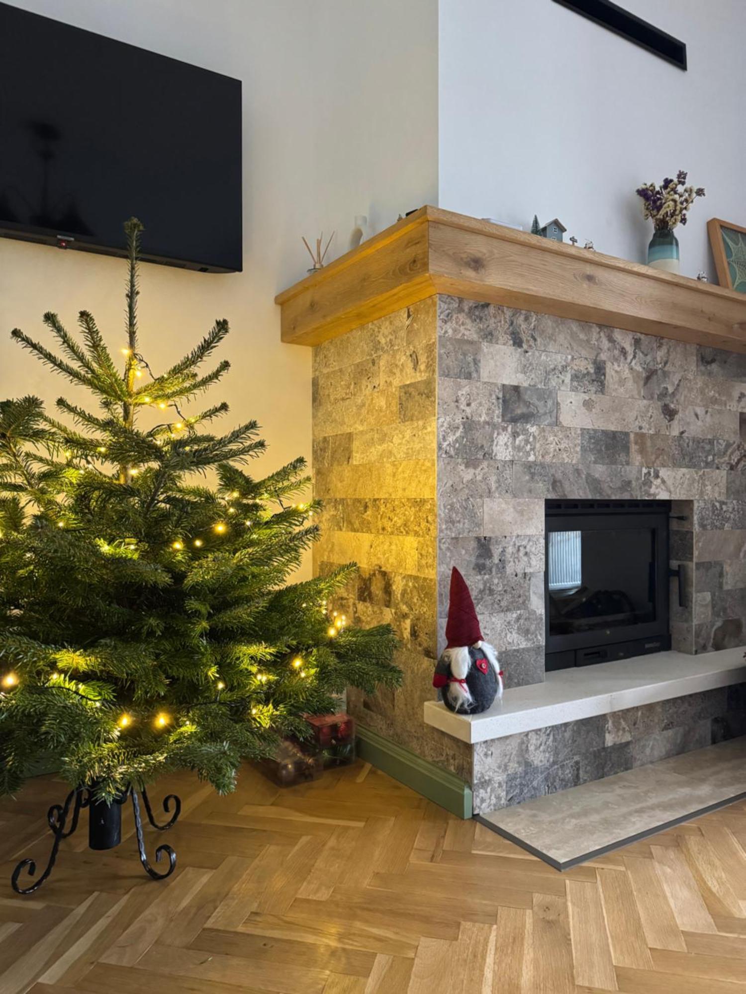 Chalet Bora Viseu de Jos Dış mekan fotoğraf