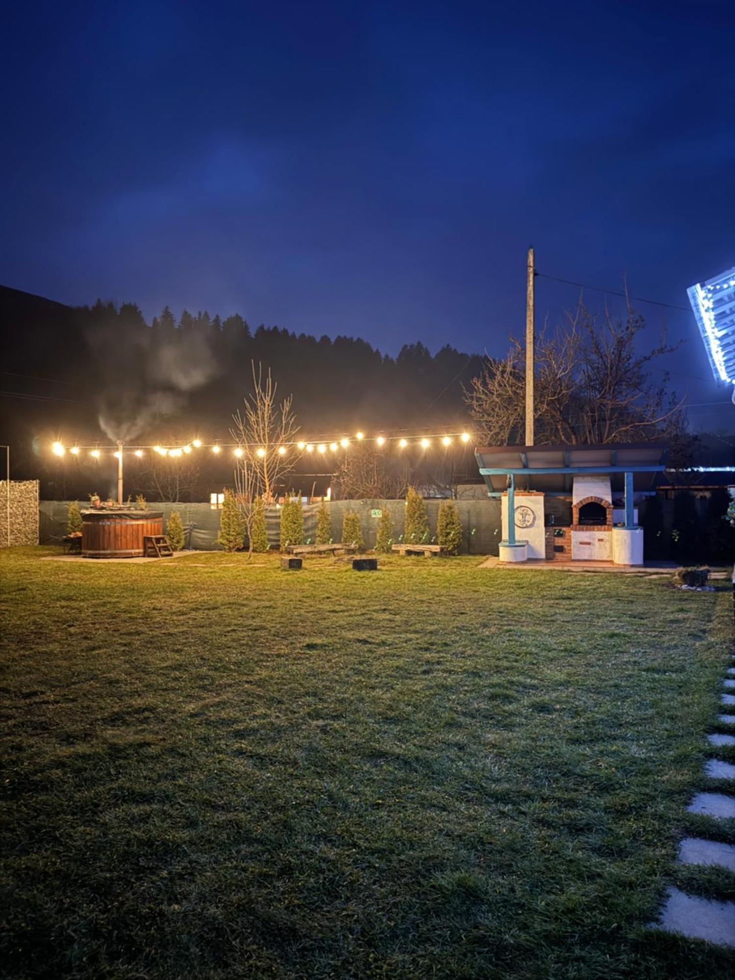 Chalet Bora Viseu de Jos Dış mekan fotoğraf