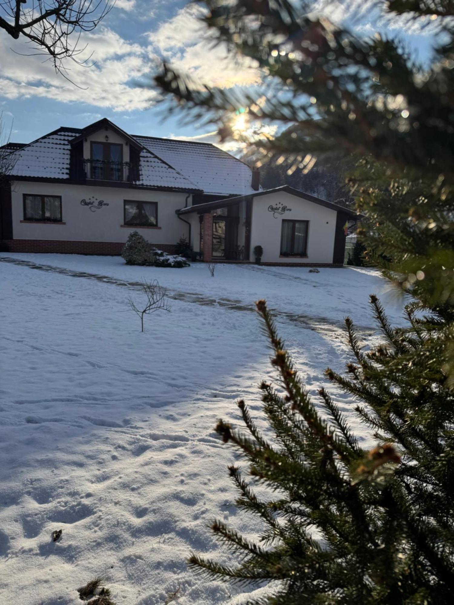 Chalet Bora Viseu de Jos Dış mekan fotoğraf