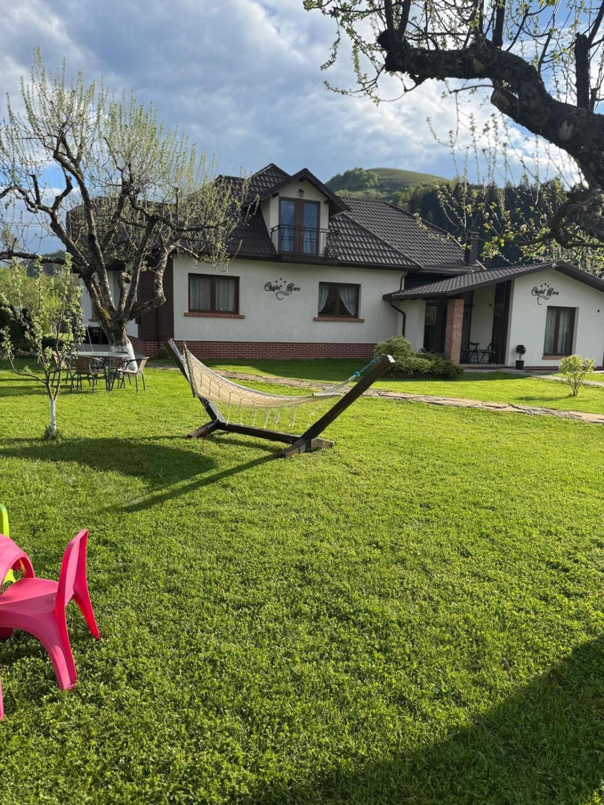 Chalet Bora Viseu de Jos Dış mekan fotoğraf