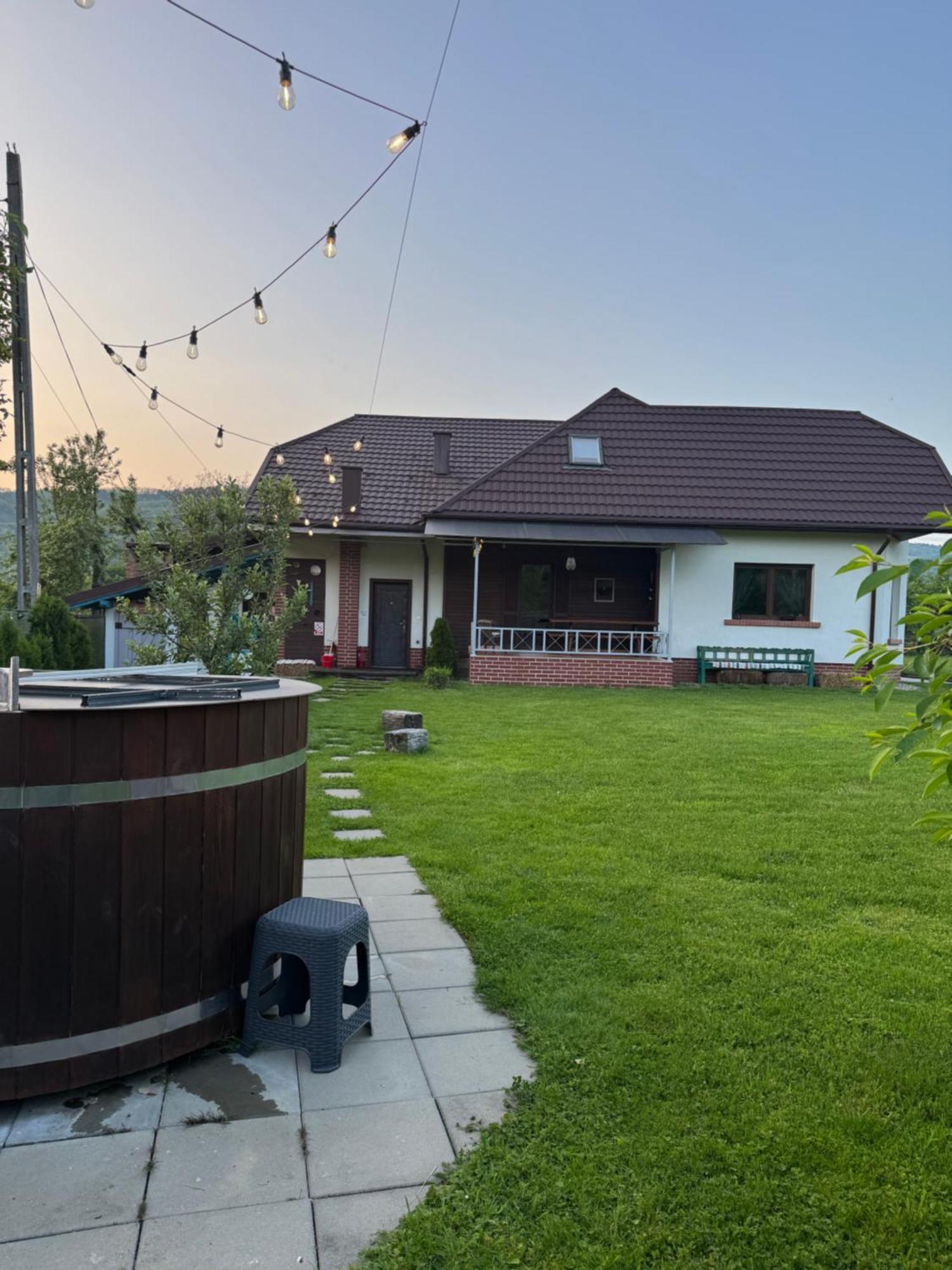 Chalet Bora Viseu de Jos Dış mekan fotoğraf
