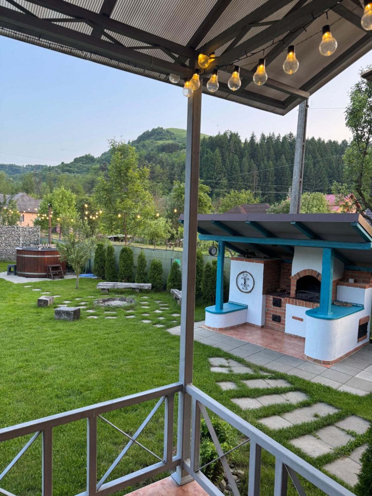 Chalet Bora Viseu de Jos Dış mekan fotoğraf